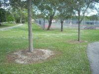 Continental Park