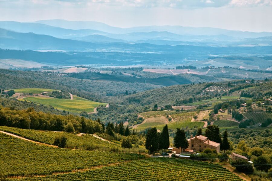 Oakville landscape with rolling hills, vineyards, farmhouse, cypress trees, and distant mountains under a tranquil sky.