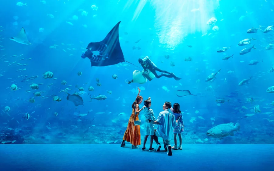 Discover vibrant marine life at S.E.A. Aquarium, Sentosa, Singapores top underwater attraction.
