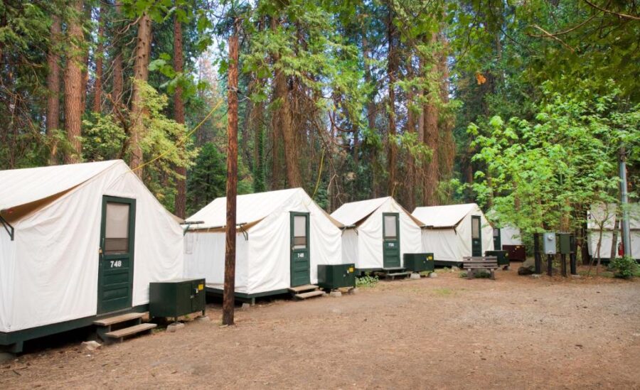Several tents are arranged in a forest setting at Curry Village, Yosemite National Park.