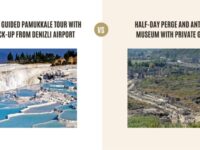 Daily Guided Pamukkale Tour with Pick-Up from Denizli Airport vs Half-Day Perge and Antalya Museum with Private Guide: Which Tour Is Better?