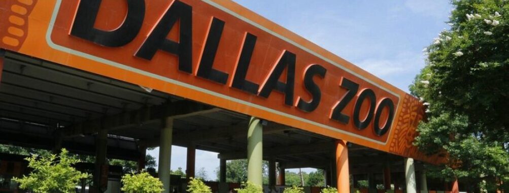 Dallas Zoo