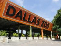 Dallas Zoo