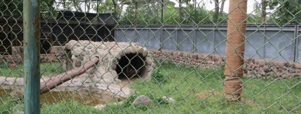 Davao Riverfront Crocodile Park & Zoo