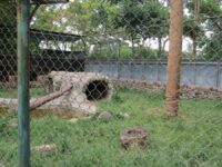 Davao Riverfront Crocodile Park & Zoo