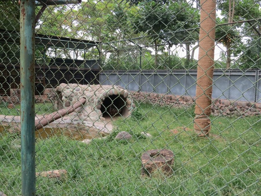 Davao Riverfront Crocodile Park & Zoo