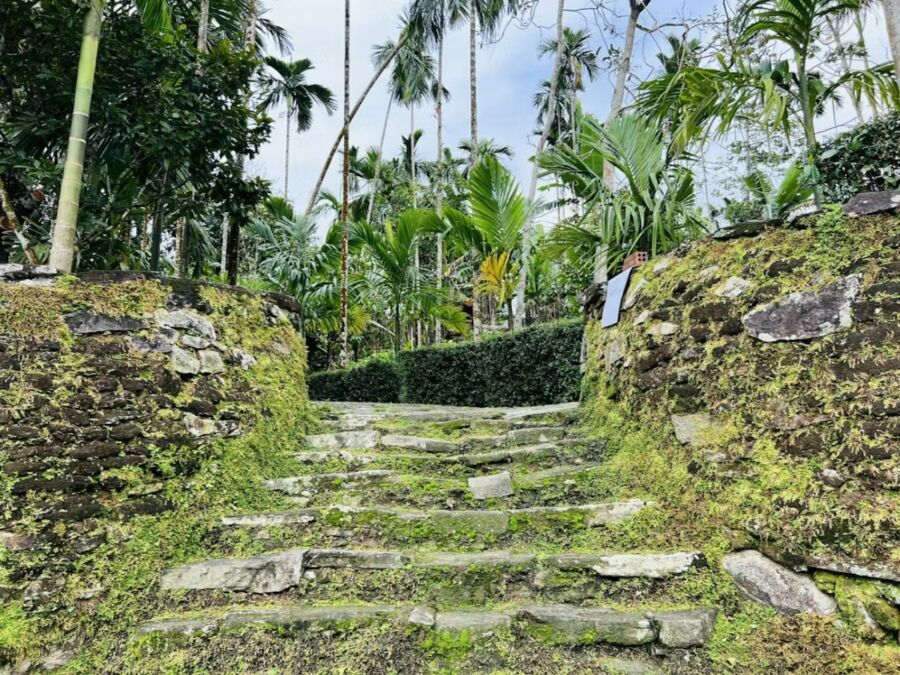 Stone steps lead into a lush jungle area filled with trees, captured during a day trip to Loc Yen Ancient Village, Vietnam.