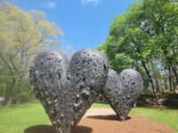 deCordova Sculpture Park and Museum Travel Forum Reviews