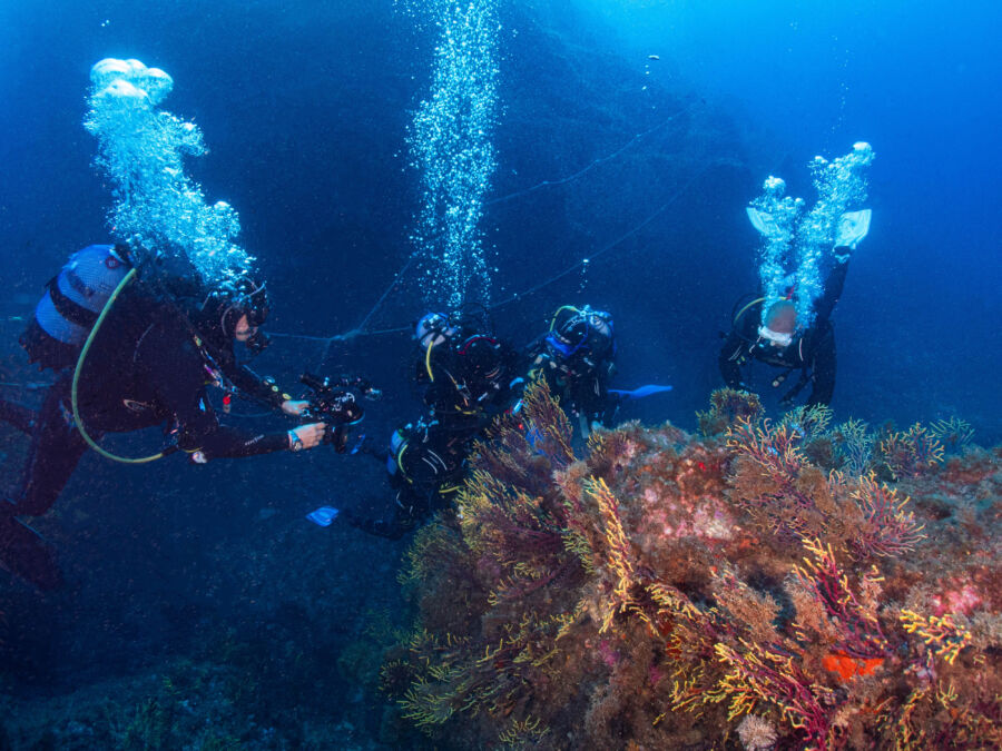 Two divers exploring a vibrant underwater landscape during a deep-sea dive, surrounded by marine life and coral formations