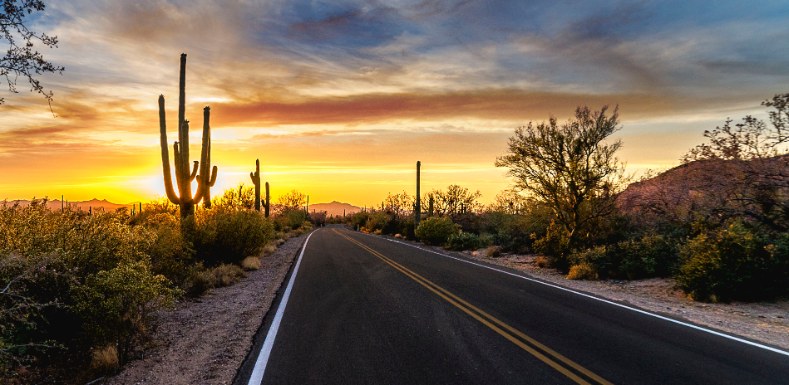 Desert highway at sunset with saguaro cacti lining the road.