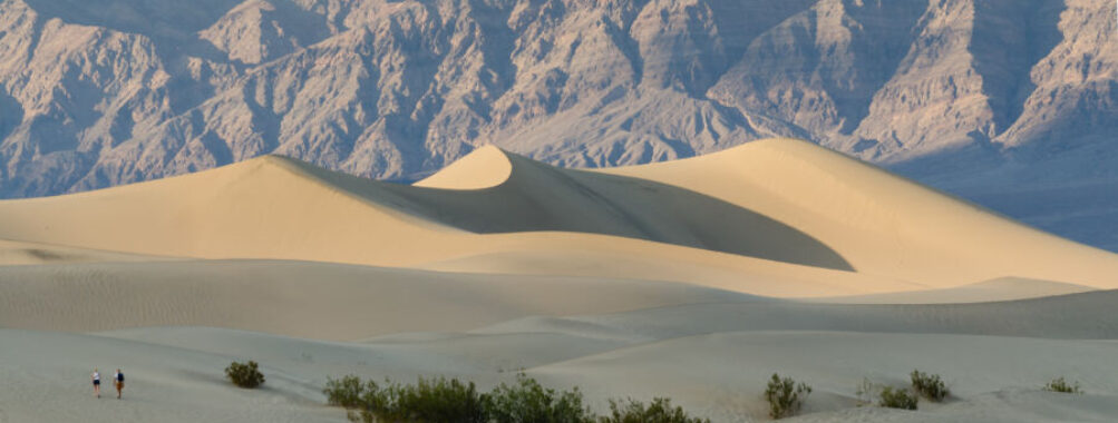 Golden sand dunes and mountains at sunrise with two figures and sparse desert vegetation.