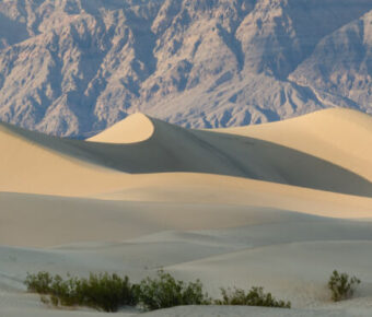 Golden sand dunes and mountains at sunrise with two figures and sparse desert vegetation.