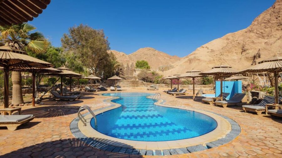 Desert resort pool oasis with sun loungers, palm trees, and mountain views in Dahab.