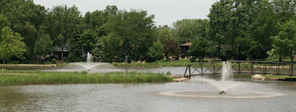 Diane Main Park