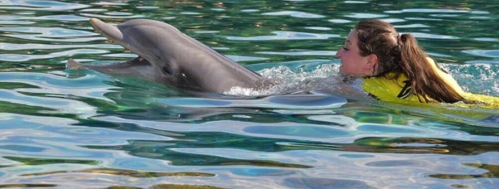 Discovery Cove Florida