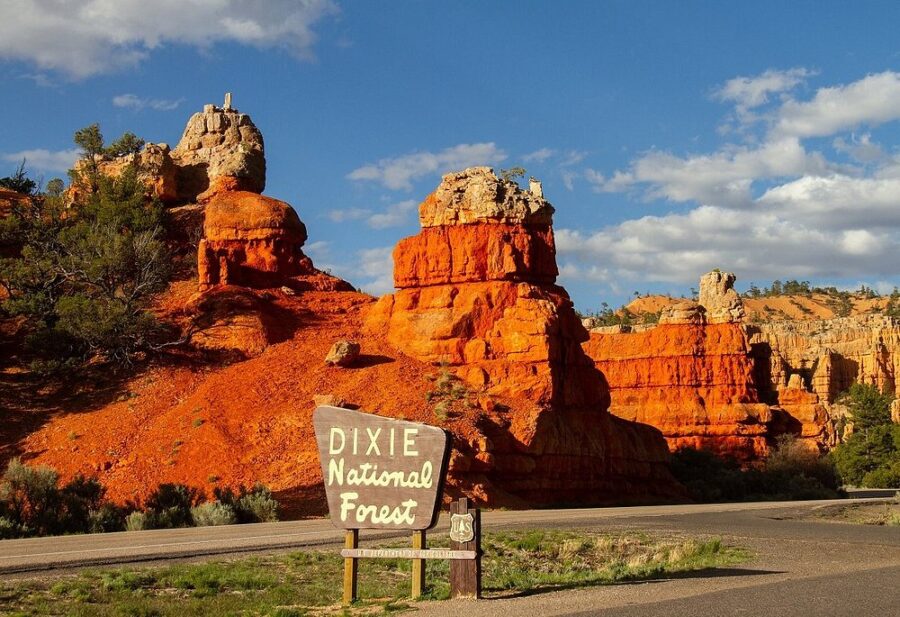Scenic road leading to Bryce Canyon National Park, surrounded by lush greenery of Dixie National Forest.