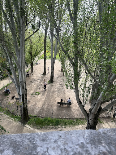 dog park