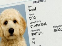 Pet Passport Rules United Kingdom to EU: 7 Essential Updates Every Pet Owner Needs for 2025