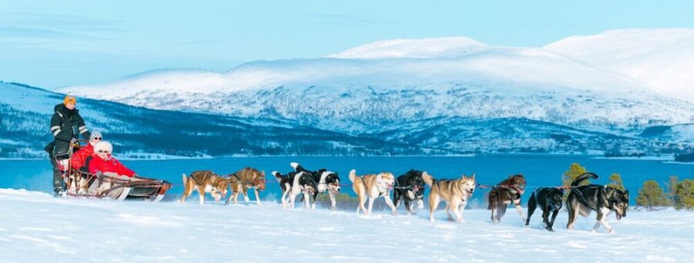 Tromso Wilderness Center - Dog sledding