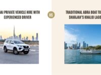 Dubai Private Vehicle Hire with Experienced Driver vs Traditional Abra Boat Tour in Sharjah’s Khalid Lagoon: Which Tour Is Better?