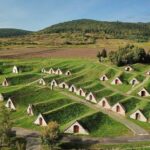 Tokaj Wine Itinerary: Ultimate Guide to Tours, Tastings & Hidden Gems