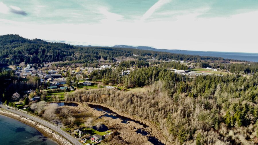 Aerial view of Eastsound village on Orcas Island, showcasing its quaint homes and surrounding lush greenery.
