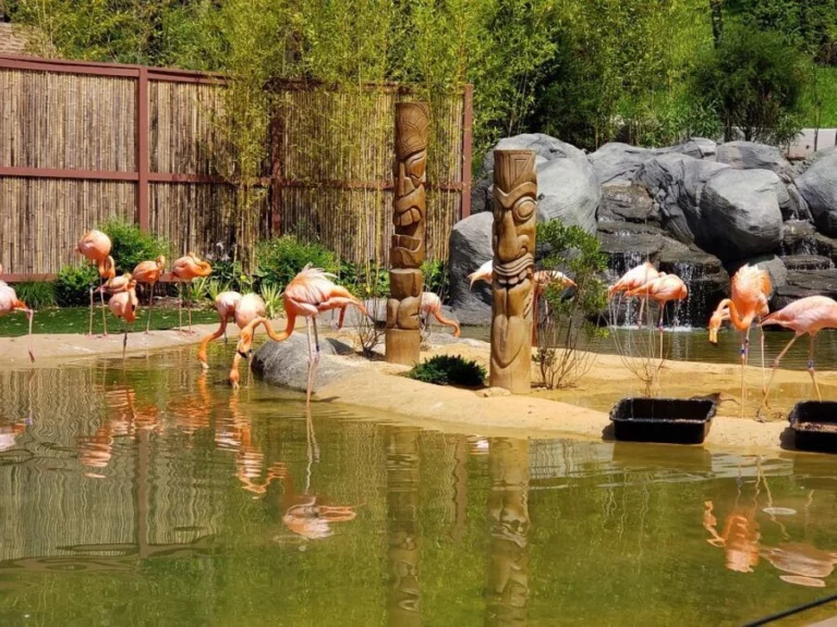 Essex County Turtle Back Zoo