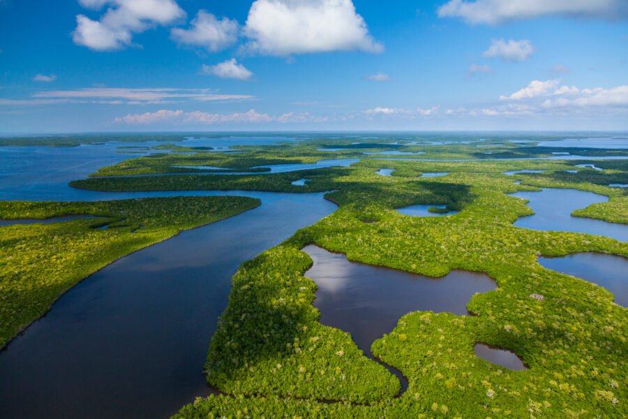 Aerial view of the lush wetlands and waterways of Everglades National Park in Florida, showcasing its natural beauty.