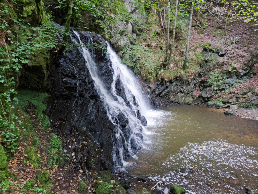 Middle waterfall in Fairy Glen surrounded by lush green vegetation in a serene woodland setting.
