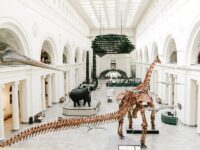 Field Museum