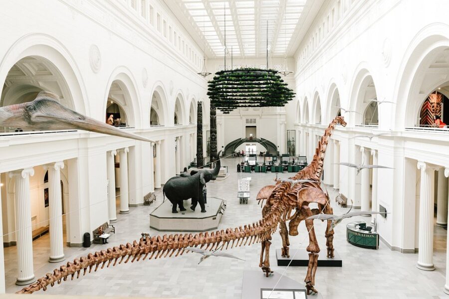 Field Museum