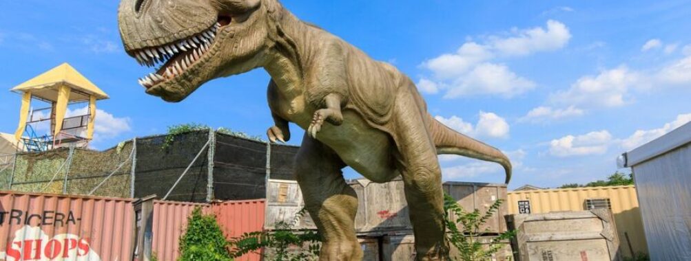 Field Station: Dinosaurs