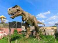 Field Station: Dinosaurs