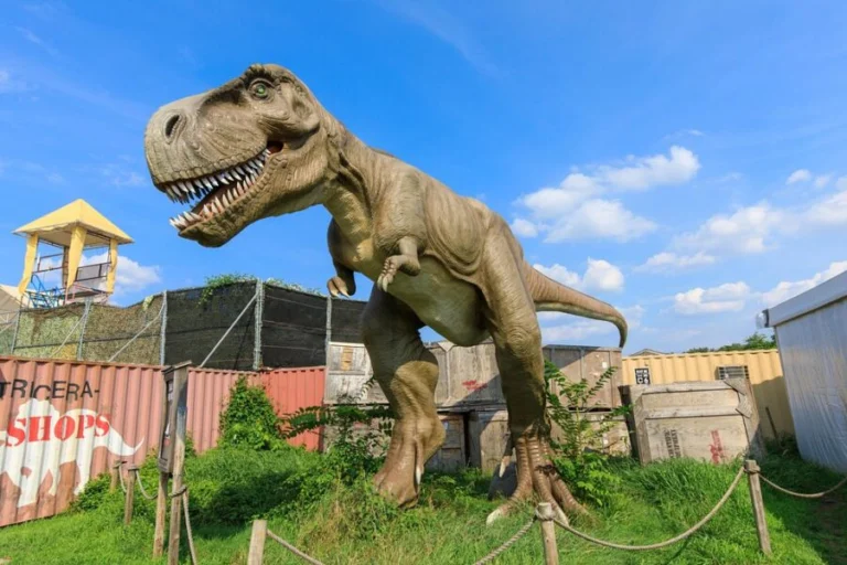 Field Station: Dinosaurs
