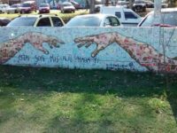 Finky Park Argentina