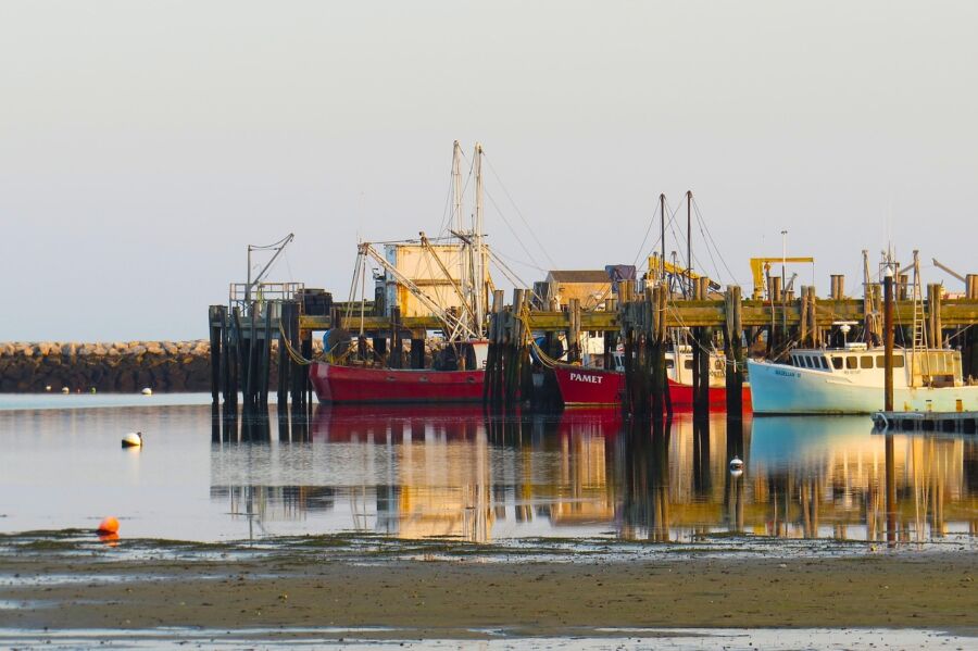 Provincetown Serene coastal harbor with vibrant fishing boats and tranquil waters at dawn.