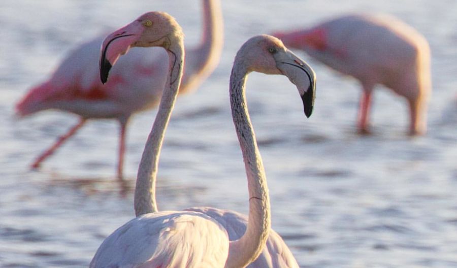 Nature Exploration and National Parks