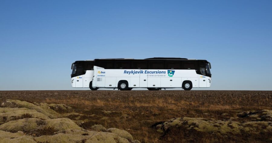 Flybus