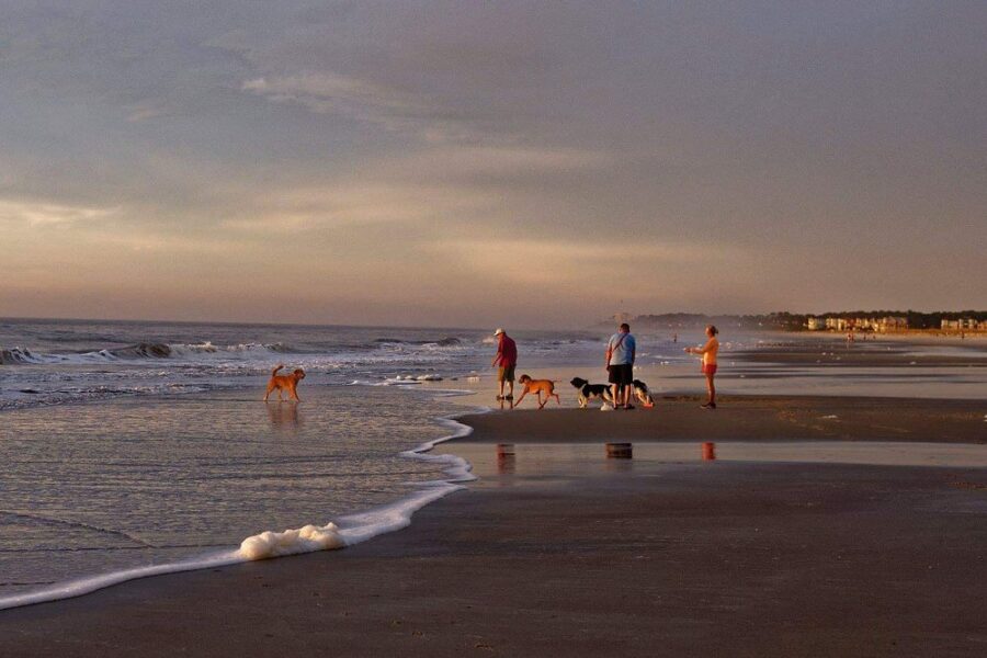 Friends and their dogs play together on the sandy shores of Folly Field Beach Park in Hilton Head, South Carolina.
