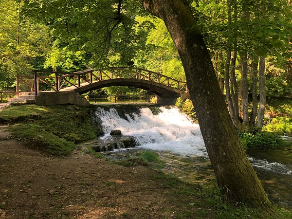 Serene forest bridge over waterfall stream in Ilidža woodland park, nature trail and trees.