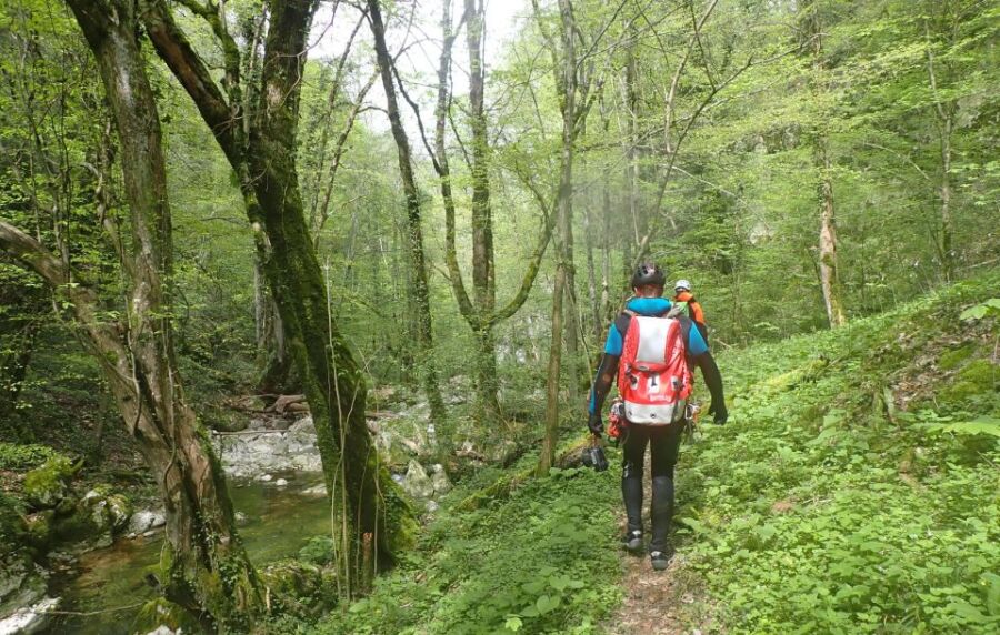 Hikers with gear trek through lush in Valence