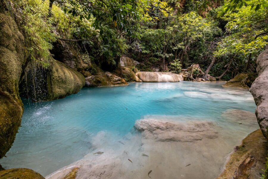 Turquoise forest swimming hole with waterfall, lush greenery, and wildlife in serene wilderness.