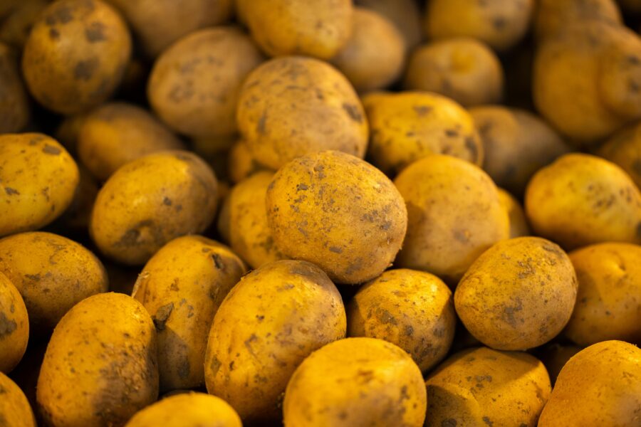 Freshly harvested golden-brown potatoes with rustic textures and natural earthy appeal.