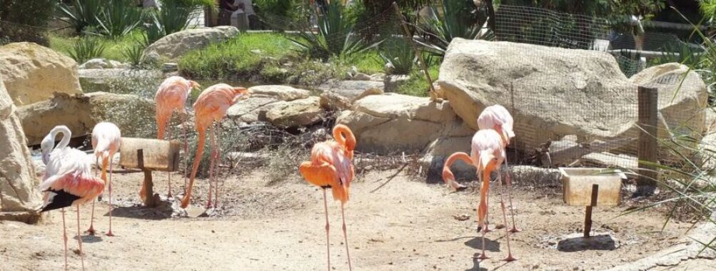 Friguia Park