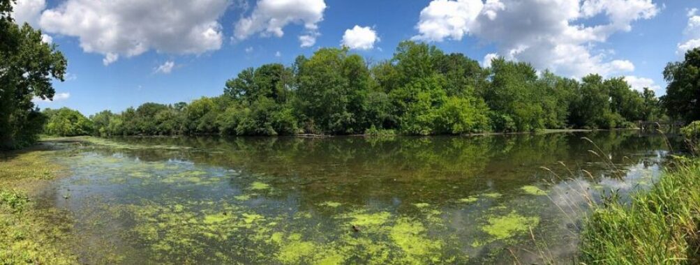 Fullersburg Woods Nature Education Center