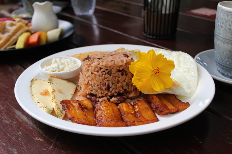 Gallo Pinto, a typical Costa Rican breakfast, displayed in Monteverde, showcasing rice, beans, and colorful accompaniments