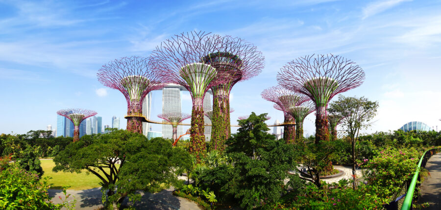 Panoramic view of Gardens by the Bay in Singapore, showcasing lush greenery and iconic Supertree structures