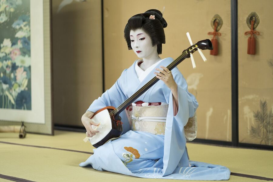 Toshimana, a Kyoto geiko, elegantly dressed in a geisha outfit, skillfully plays the shamisen, captivating her audience.
