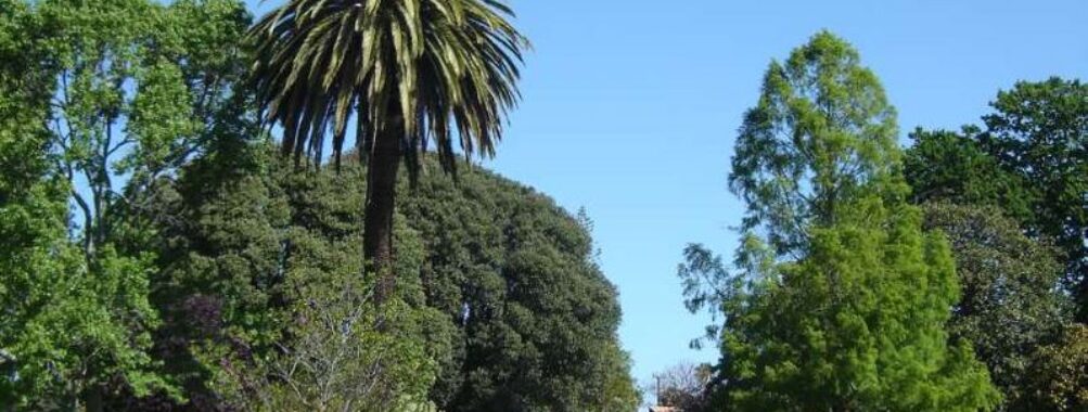 Gisborne Botanical Gardens