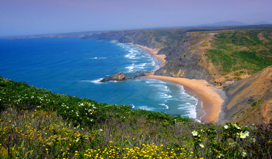 Vicentine Coast Natural Park golden sand beach with cliffs, wildflowers and panoramic Atlantic view.